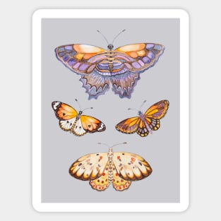 Butterflies Magnet